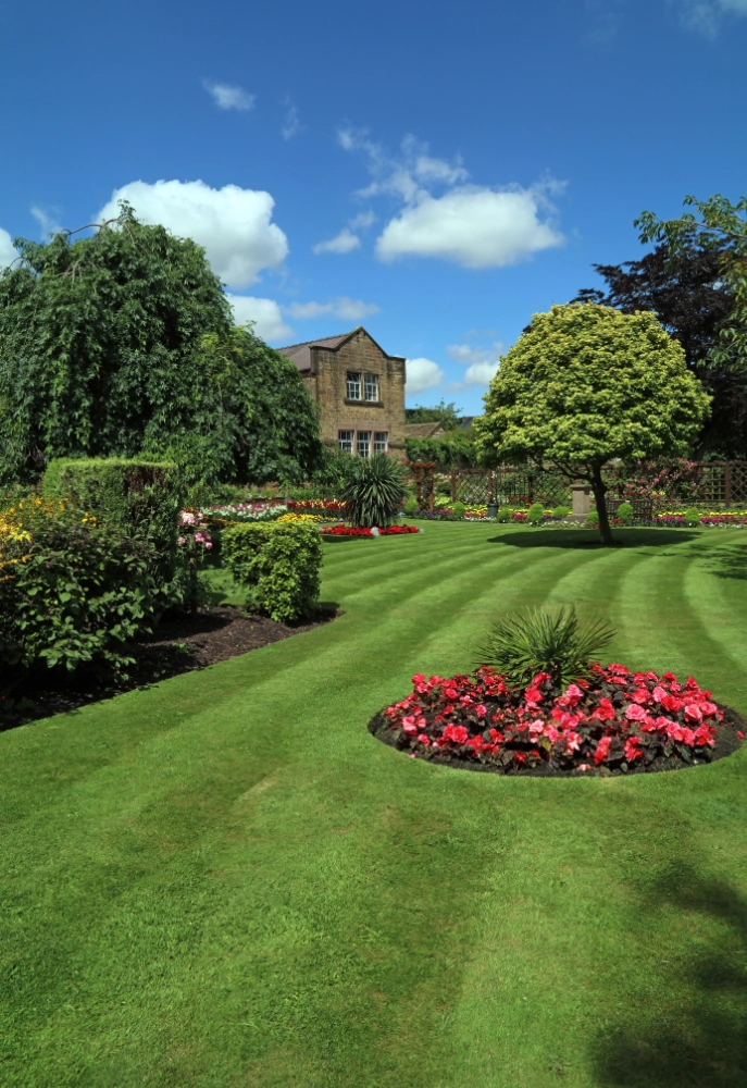 Close-up of freshly mowed lawn with clean mowing lines