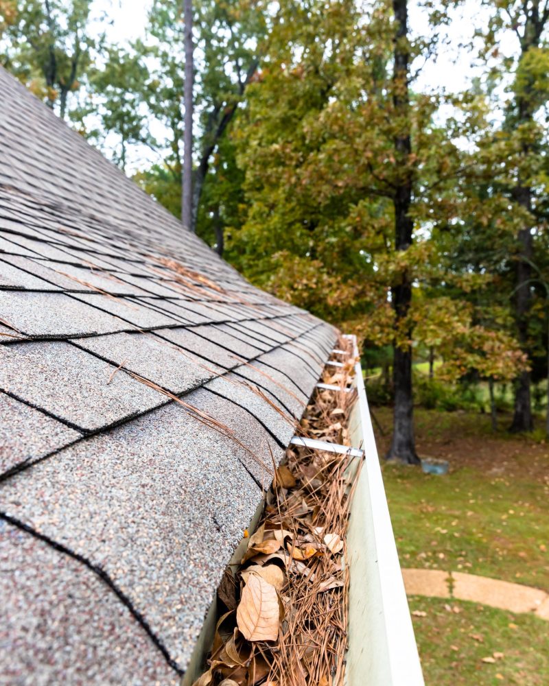 Leaf removal and yard cleanup during fall season in Western New York
