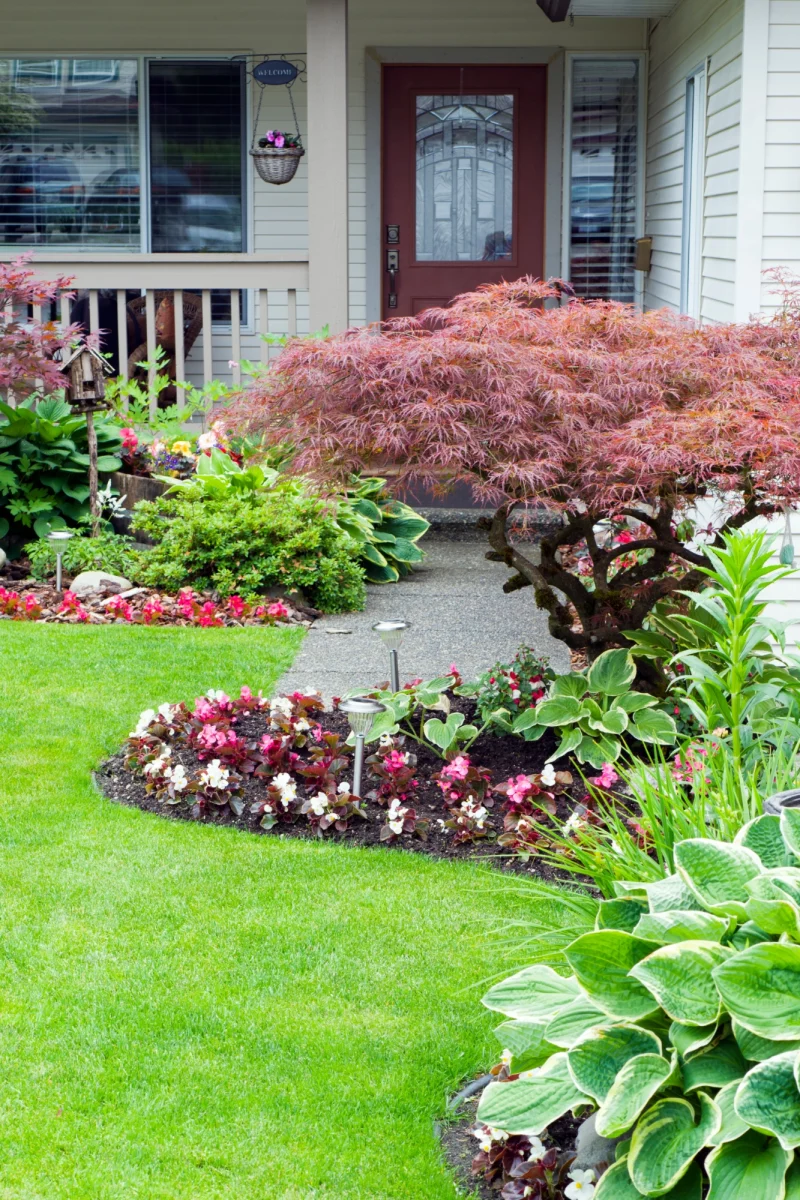 lawncareFirstImage